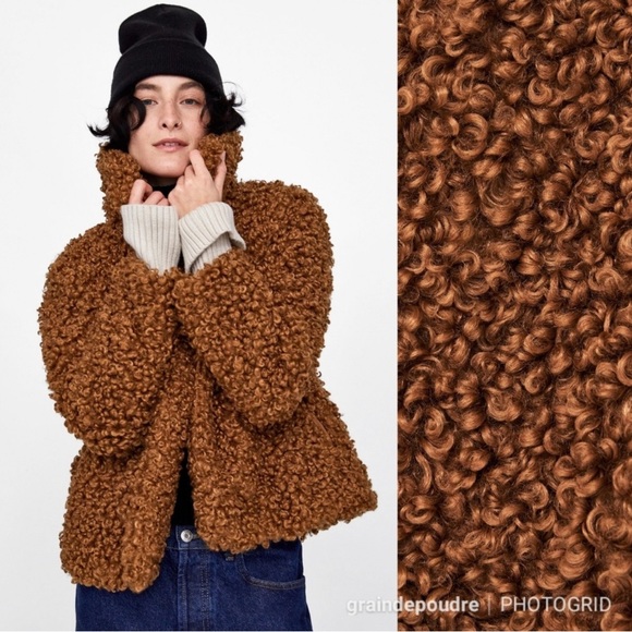 Zara Blogger Brown Teddy Curly Mongolian Faux Fur Coat XS - Picture 1 of 5